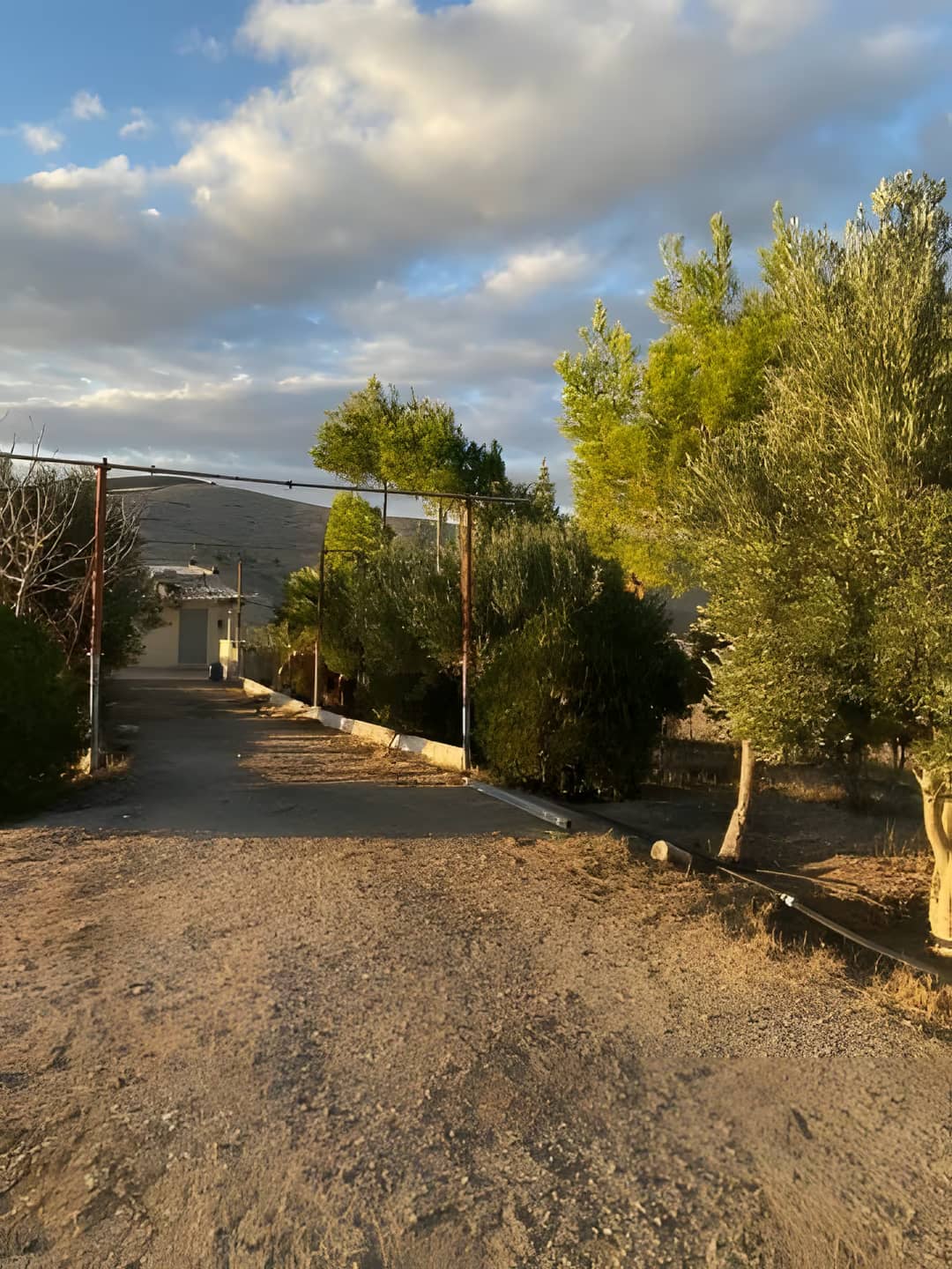 Vente Terrain Agricole Aïn Témouchent Ain Temouchent - Photo 17