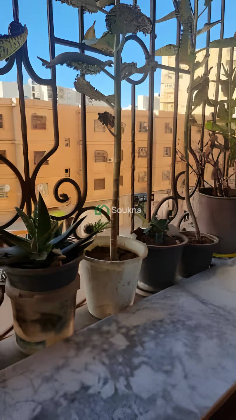 Vente Appartement F3 Oran Oran-17