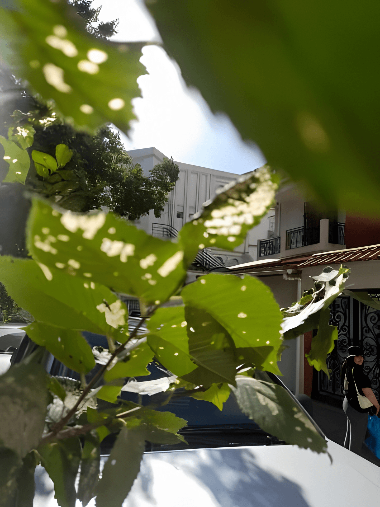 Location Villa Alger El Achour-18