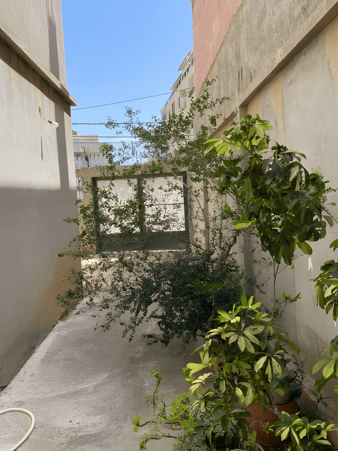 Location Villa Boumerdès Corso - Photo 19