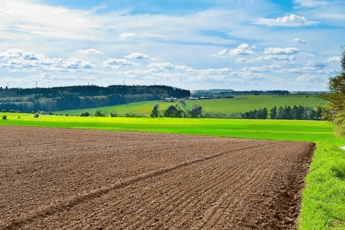  Vente Terrain Agricole Alger Souidania