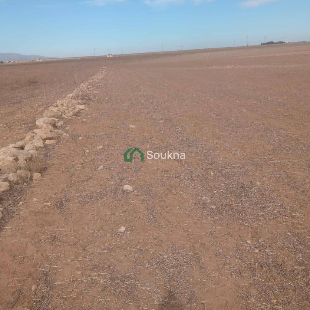  ارض فلاحية - Photo 2