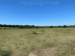 Vente Terrain Boumerdès Zemmouri-1