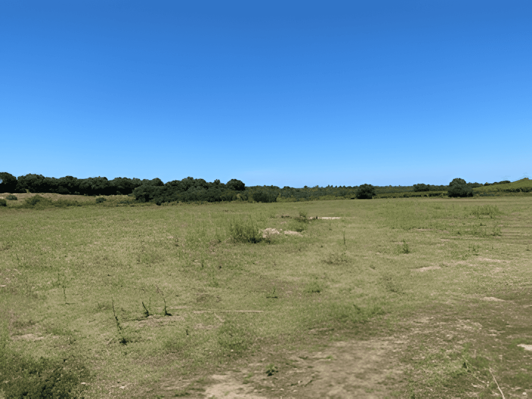 Vente Terrain Boumerdès Zemmouri-1