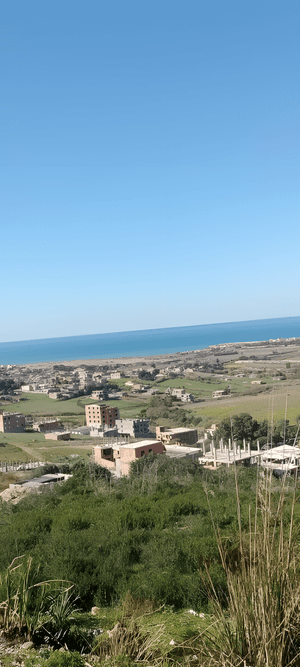 Vente Terrain Boumerdès Zemmouri-1