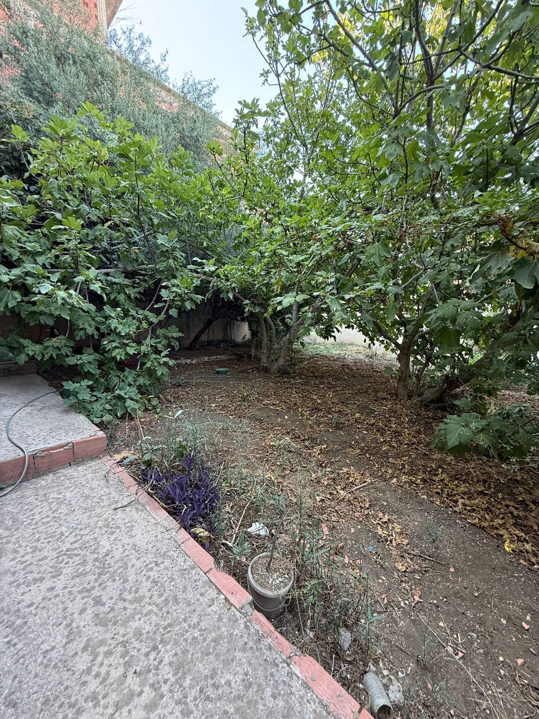 Villa R+1 à vendre – Ouled Chham (Guelma) - Photo 20