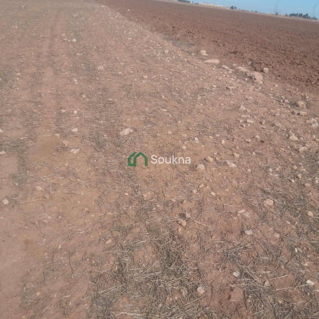  ارض فلاحية - Photo 3