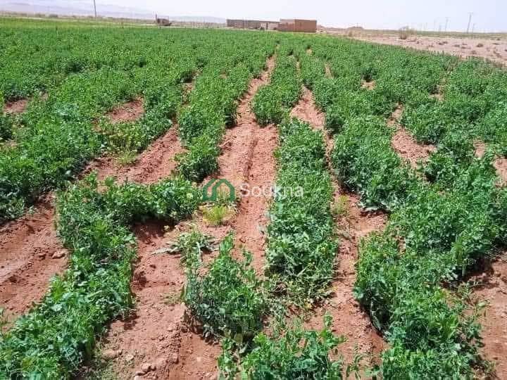 À vendre terrain agricole - Photo 3