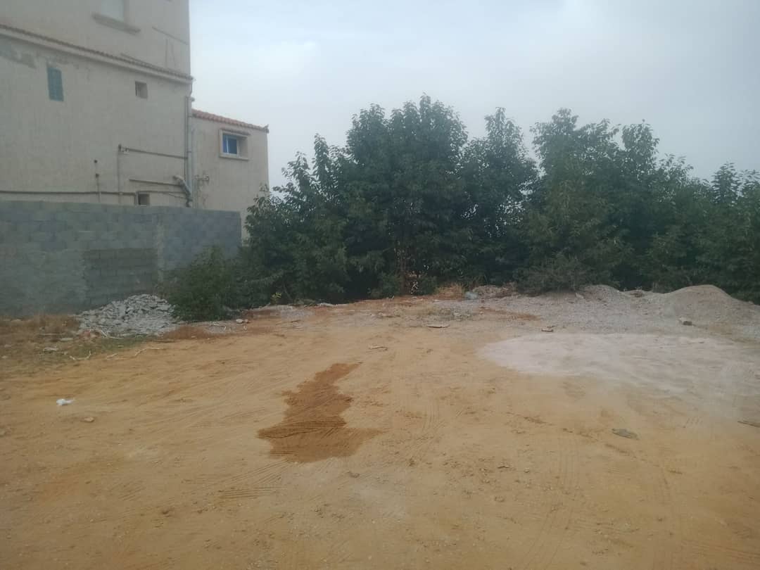 Terrain résidentiel ou commercial avec vue sur mer – El Kala - Photo 3