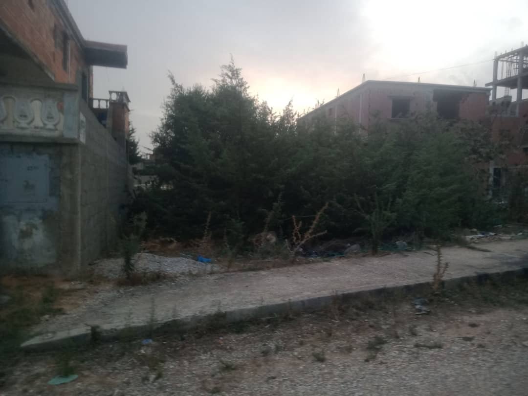 Terrain à vendre à El Kala – Usage résidentiel ou commercial - Photo 3