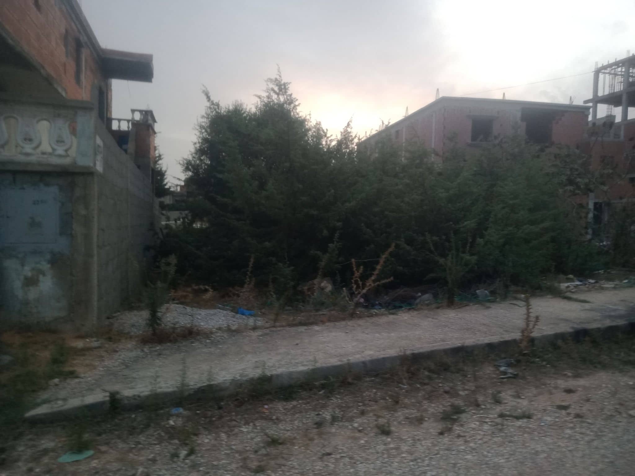 Terrain à vendre à El Kala – Usage résidentiel ou commercial-2