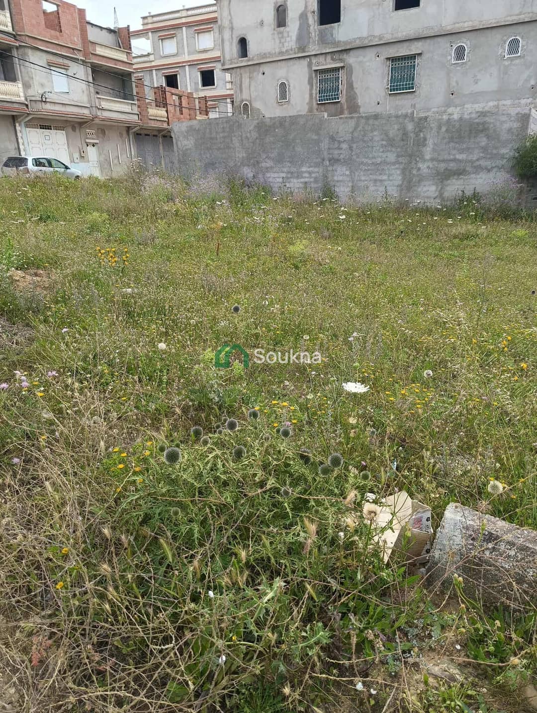 Terrain à vendre - Photo 3