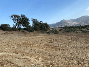 Vente Terrain Boumerdès Keddara-0