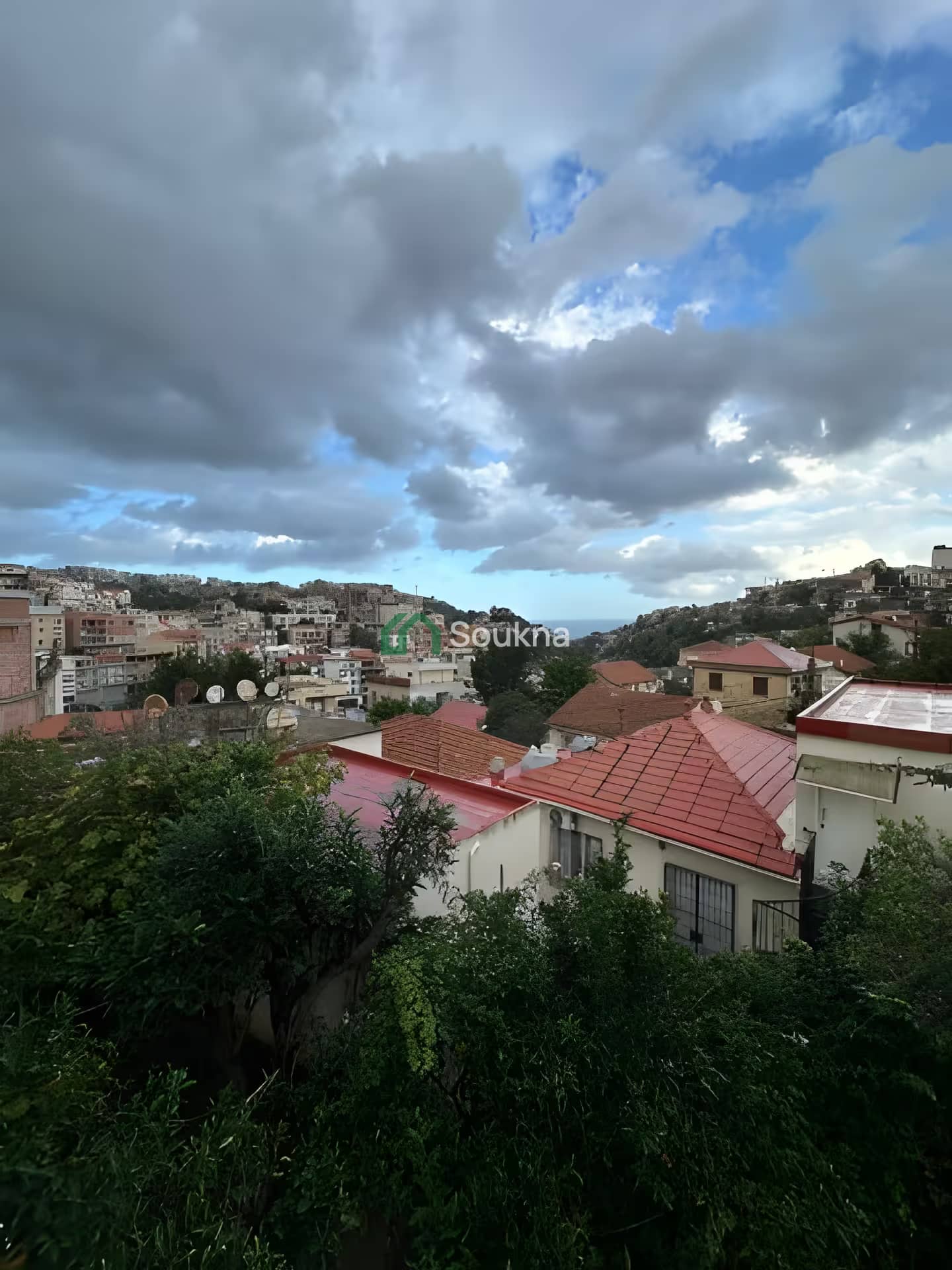 بيع فيلا الجزائر الأبيار-38