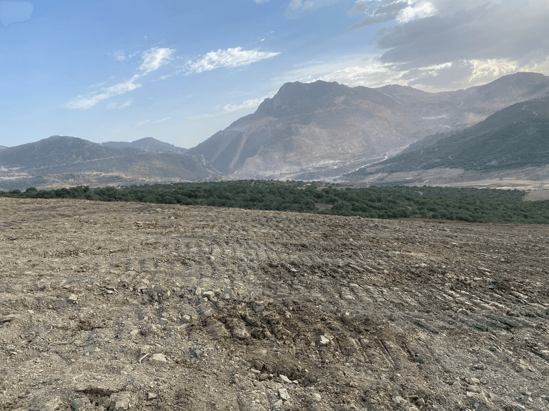 Vente Terrain Boumerdès Keddara - Photo 2