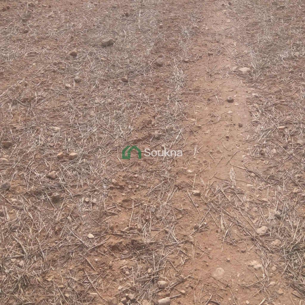  ارض فلاحية - Photo 4