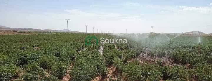 À vendre terrain agricole - Photo 4