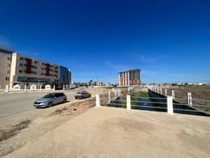 À vendre : Terrain de 289 m² – Centre-ville d’El Tarf-3