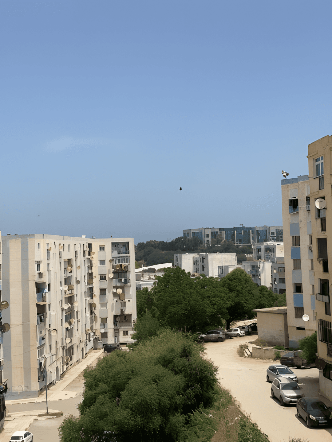 Vente Appartement F3 Boumerdès Boumerdes  - Photo 4