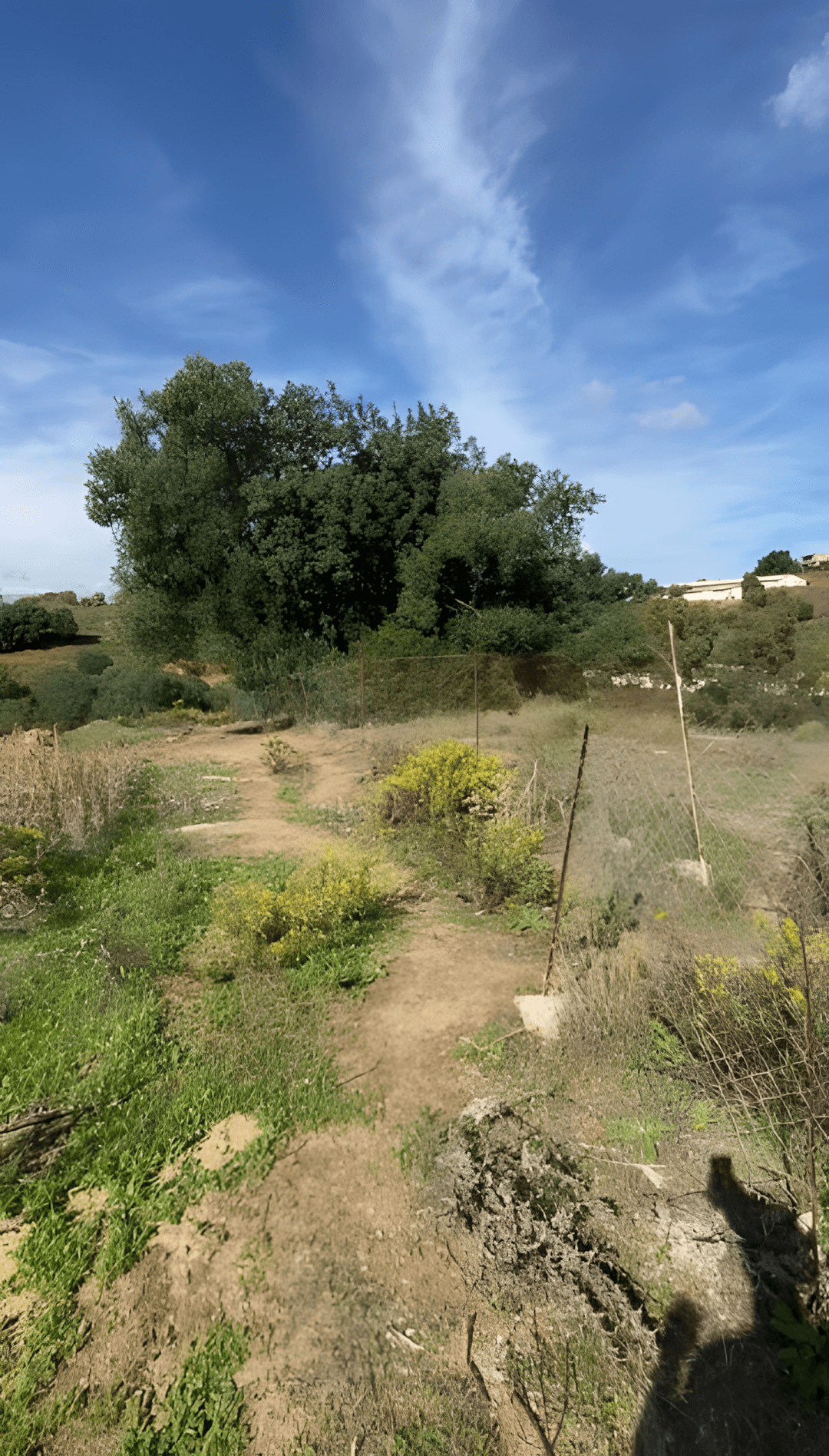 Vente Terrain Boumerdès Tidjelabine - Photo 4