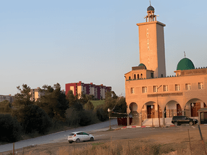 Vente Terrain Boumerdès Zemmouri-3
