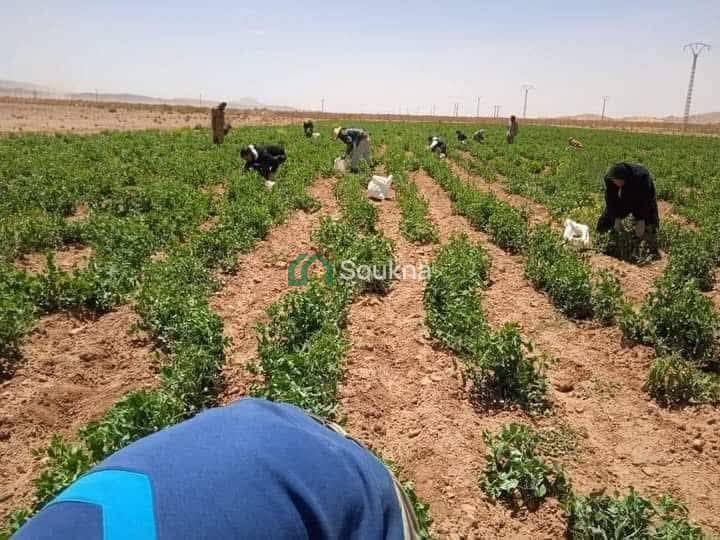 À vendre terrain agricole - Photo 5