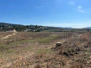 À vendre : Terrain de 289 m² – Centre-ville d’El Tarf-4