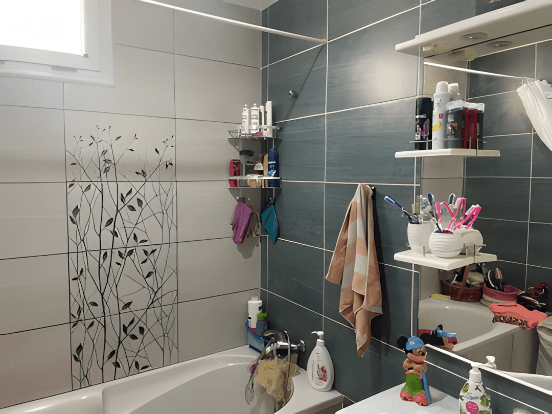 Vente Villa Alger Hammamet-5