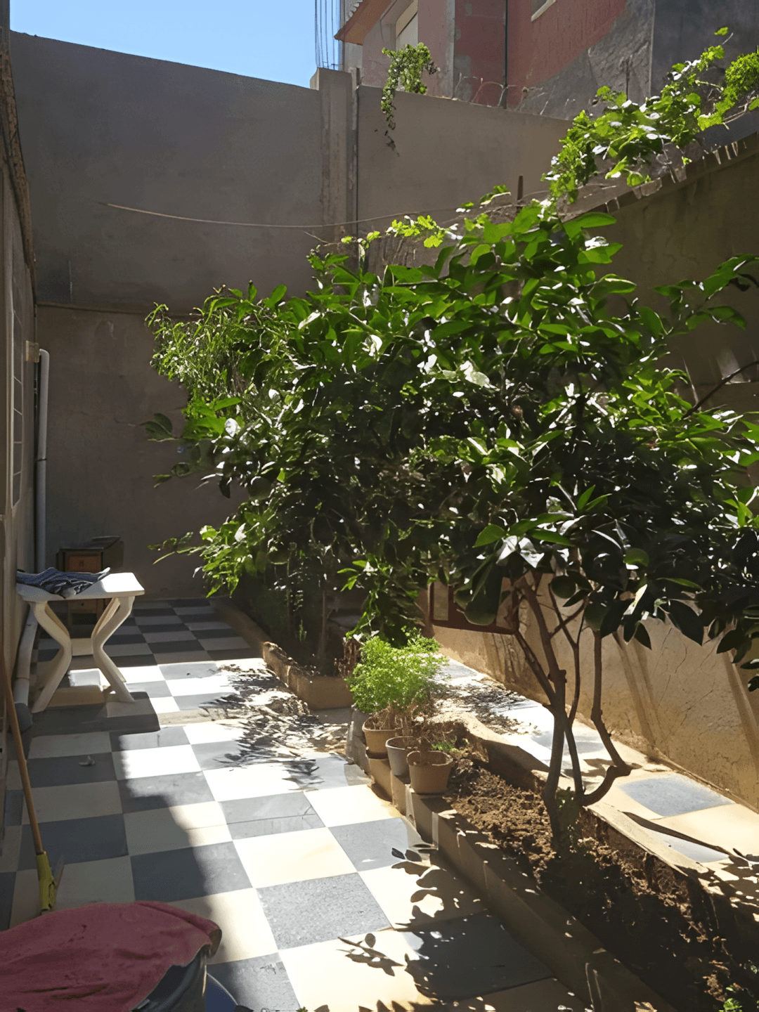 Vente Villa Tipaza Cherchell-8