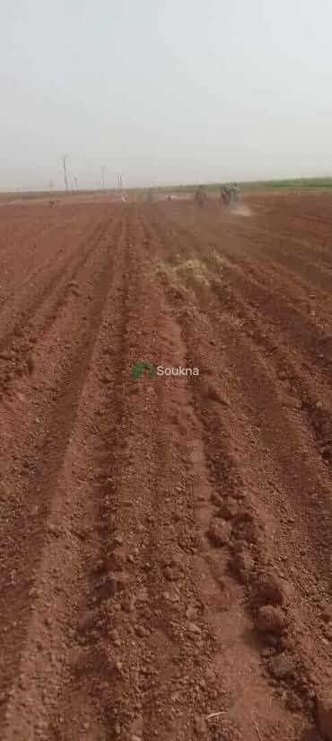 À vendre terrain agricole - Photo 6