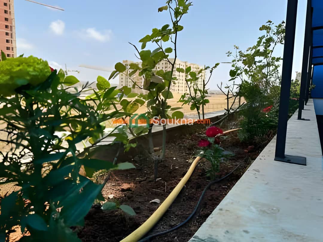 Location Vacances Appartement F3 Oran Oran - Photo 20