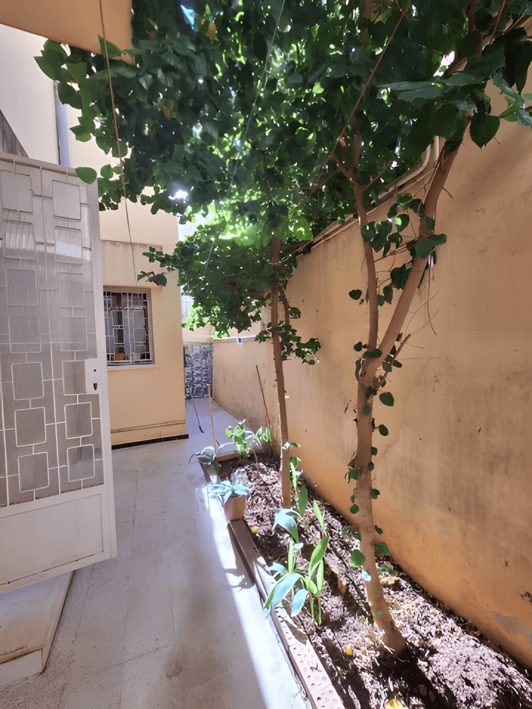 Vente Villa Alger Ouled fayet-5