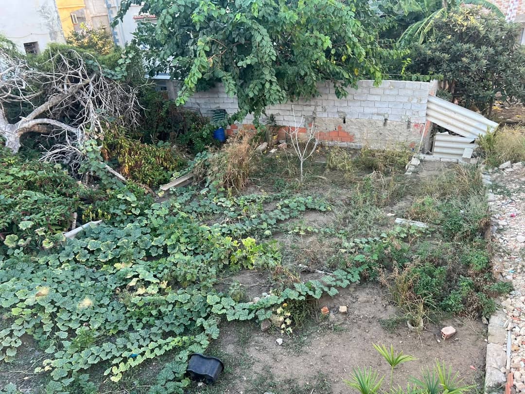 À vendre : Terrain résidentiel constructible au centre-ville d’El Kala - Photo 4