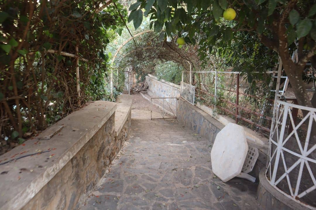Villa coloniale à vendre – Rais Hamidou, Alger - Photo 10