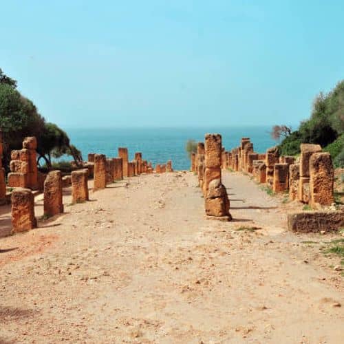 Tipaza