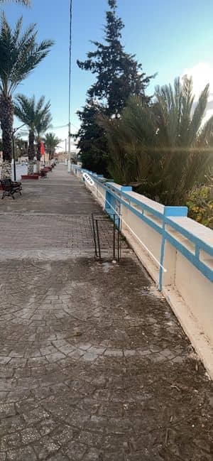 Terrain exceptionnel à vendre – El Kala (El Tarf)-7