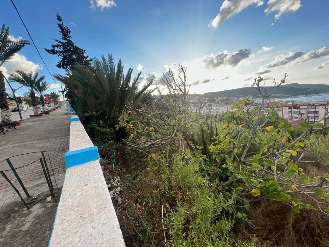 Terrain exceptionnel à vendre – El Kala (El Tarf) - Photo 3