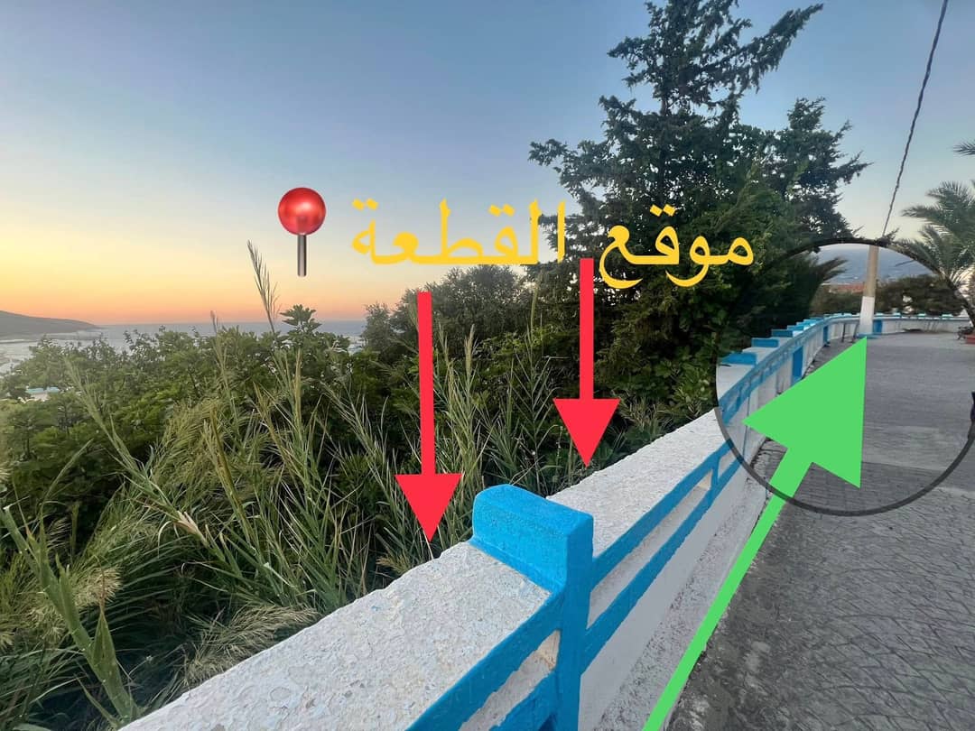 Terrain exceptionnel à vendre – El Kala (El Tarf) - Photo 14