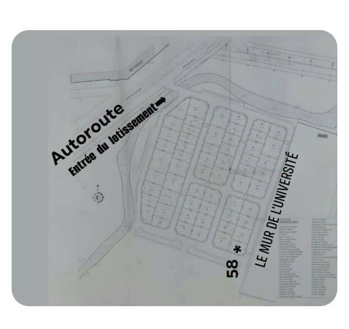 Terrain à vendre – 2 façades, centre-ville El Tarf - Photo 4