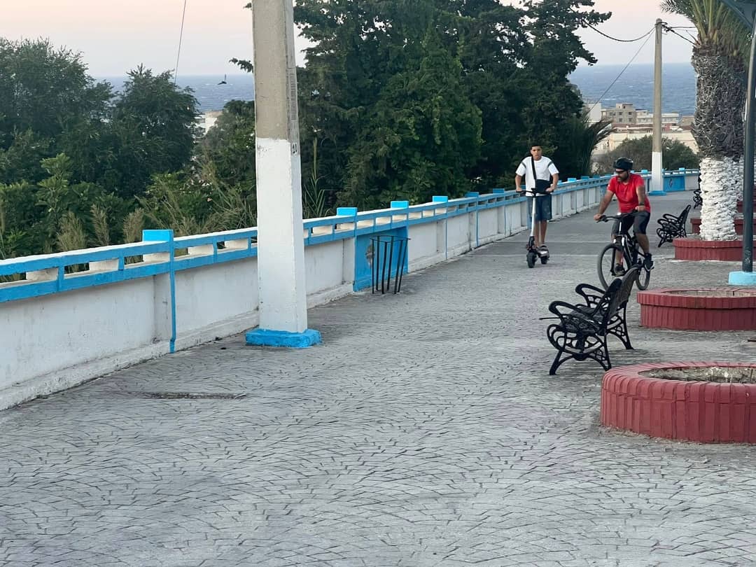 Terrain exceptionnel à vendre – El Kala (El Tarf) - Photo 9