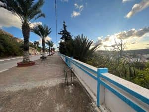 Terrain exceptionnel à vendre – El Kala (El Tarf)-4