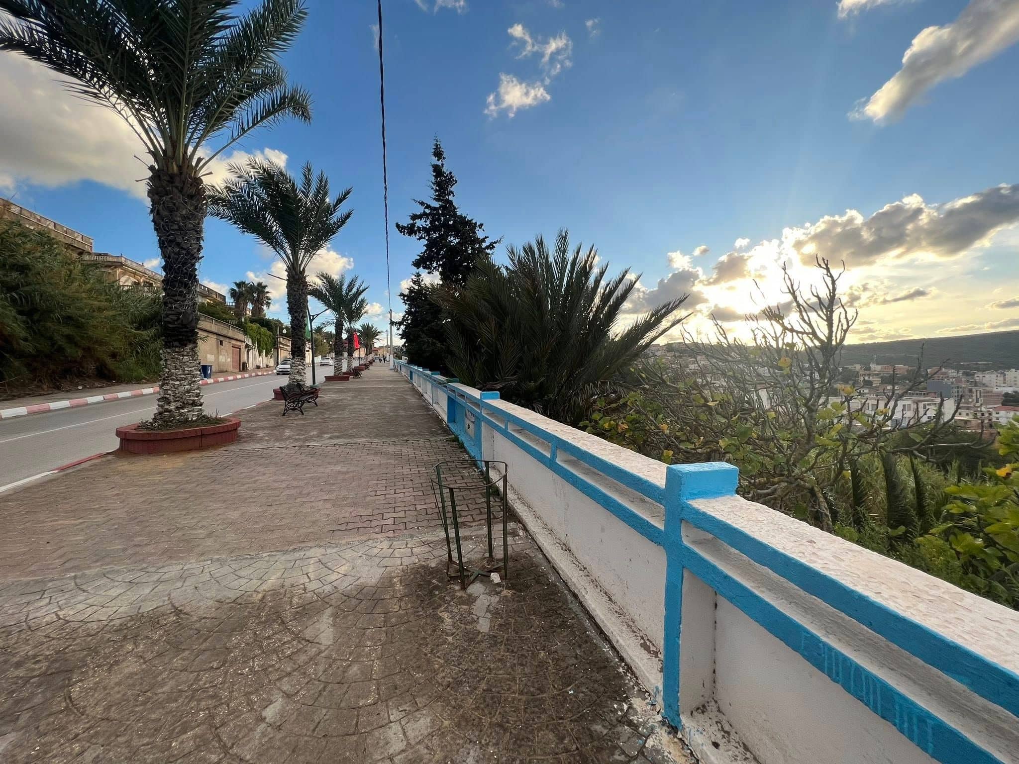 Terrain exceptionnel à vendre – El Kala (El Tarf)-4