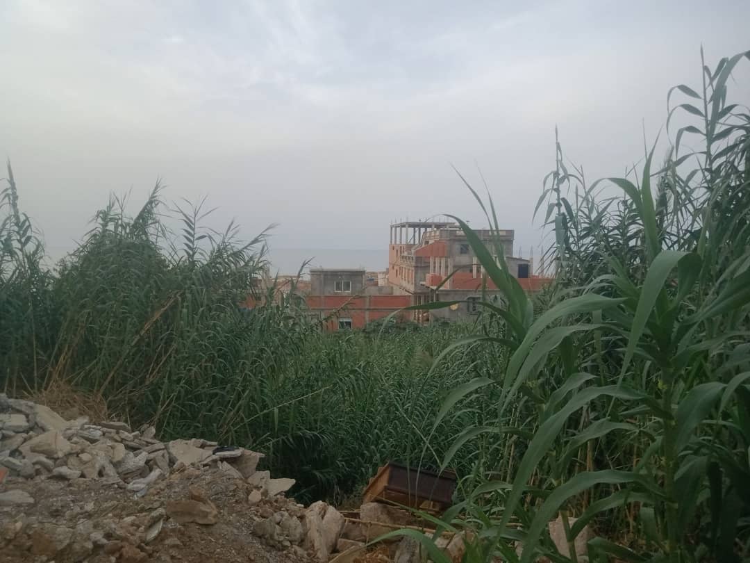 Terrain résidentiel ou commercial avec vue sur mer - Photo 5