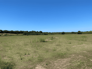 Vente Terrain Boumerdès Zemmouri-1
