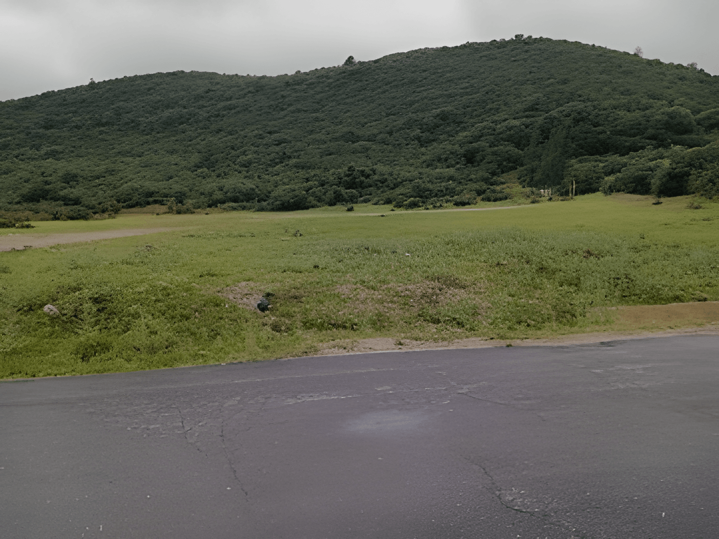 Vente Terrain Boumerdès Tidjelabine