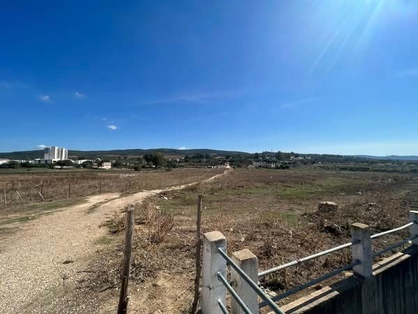 À vendre : Terrain de 289 m² – Centre-ville d’El Tarf