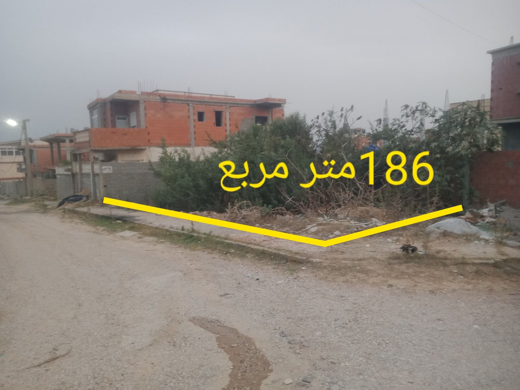 Terrain à vendre à El Kala – Usage résidentiel ou commercial