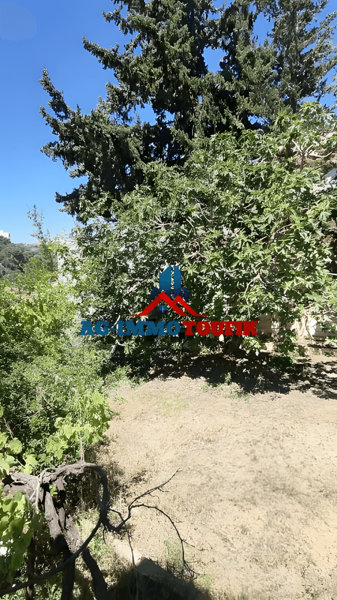 Vente Terrain Alger Saoula