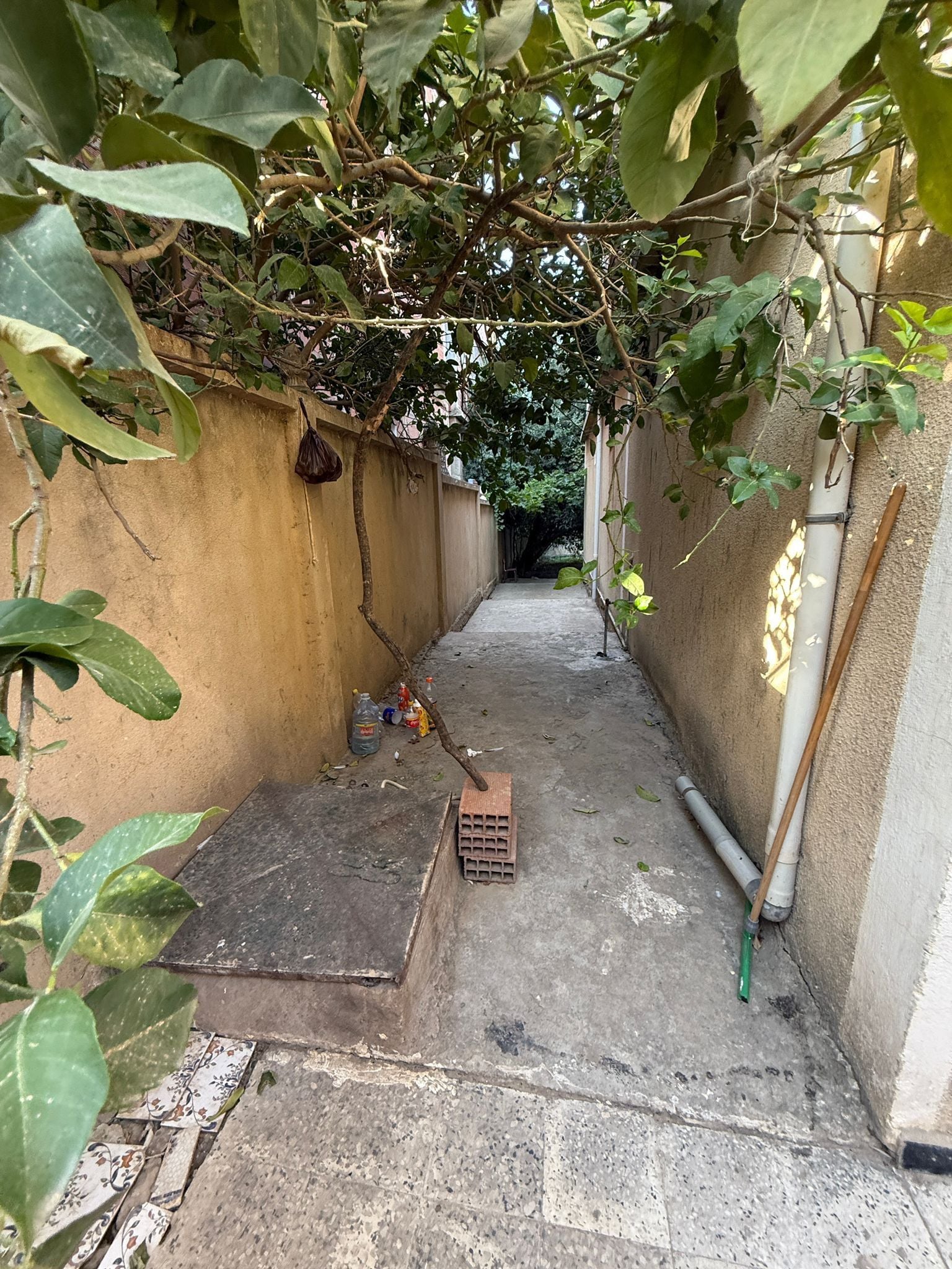 Villa R+1 à vendre – Ouled Chham (Guelma)