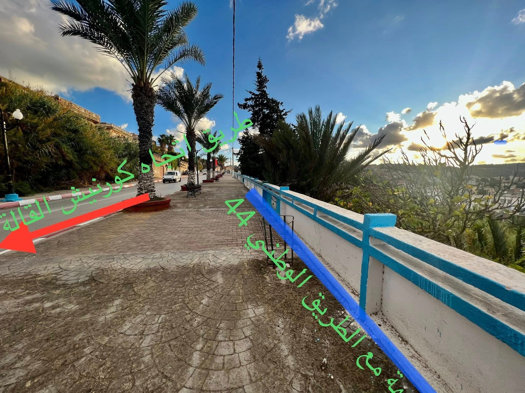Terrain exceptionnel à vendre – El Kala (El Tarf)